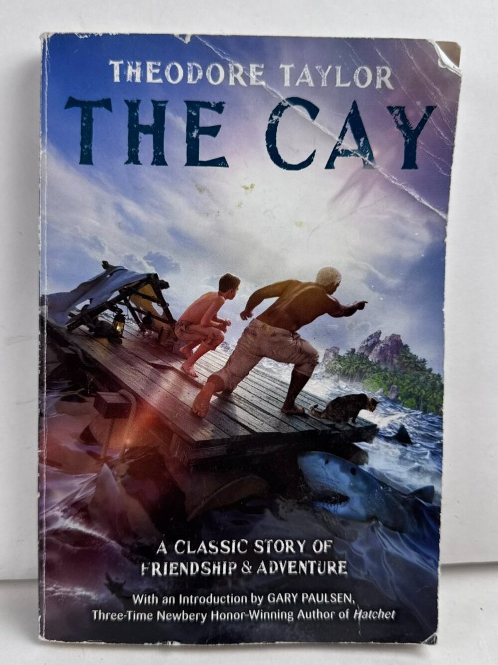 The Cay by Theodore Taylor Paperback Novel Survival Adventure Yearling Book